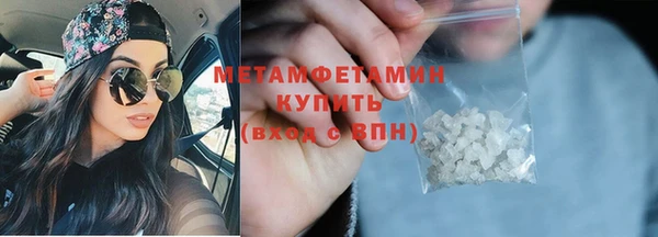 сатива Анжеро-Судженск