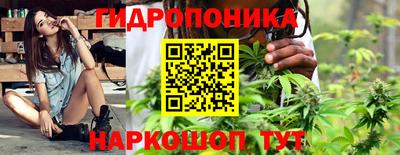 ГАЛЛЮЦИНОГЕННЫЕ ГРИБЫ Берёзовский