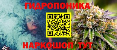 ГАЛЛЮЦИНОГЕННЫЕ ГРИБЫ Берёзовский