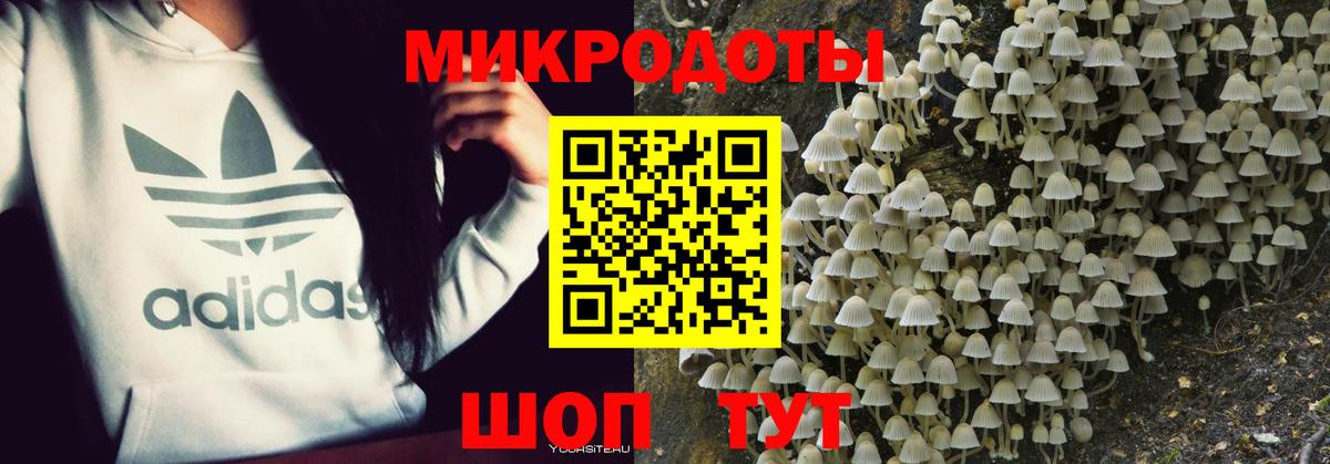 Барнаул  Псилоцибиновые грибы мицелий  Вход с VPN 